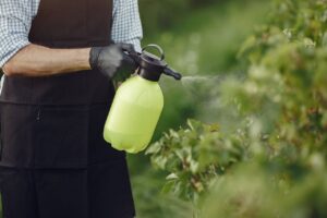 Dosage Roundup pour 5 litres d’eau