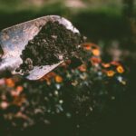 Densité de la terre végétale