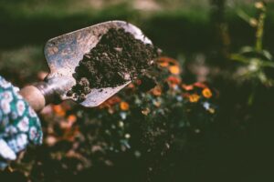 Densité de la terre végétale